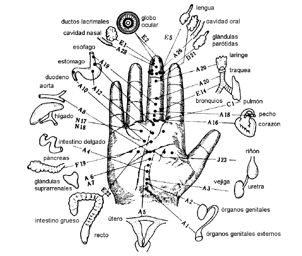 TERAPIAS INTEGRATIVAS Y BIENESTAR CORPORAL KARMINA Automaquillaje